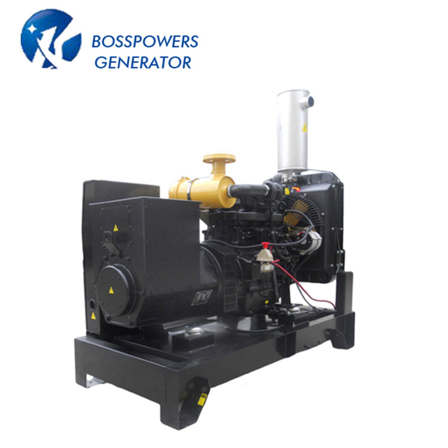 19kw Open Diesel Generator Set 60Hz with Yangdong Ynd490d Engine