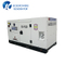 Power Canopy Silent Generator Electric Start 11kVA with Yanmar 3tnv82A-Gge