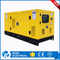 Industrial Power 16kVA Fawde Standby Diesel Generator Set with ATS