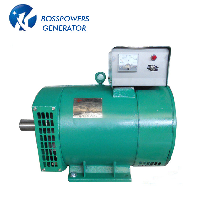 St-15 Cheap Brush Type Generator Head Single Phase Generator
