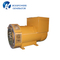 50Hz BS274K 250kVA Stamford Technology AC Brushless Alternator