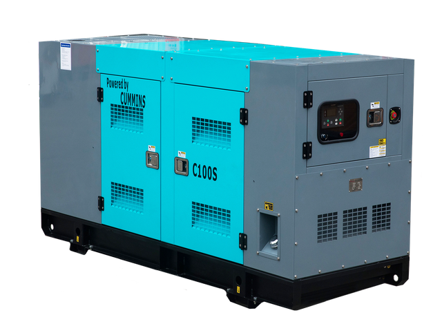 Cummins Engine 6CTAA8.3-G2 Rated Power 200kVA Electric Diesel Generator Soundproof Canopy