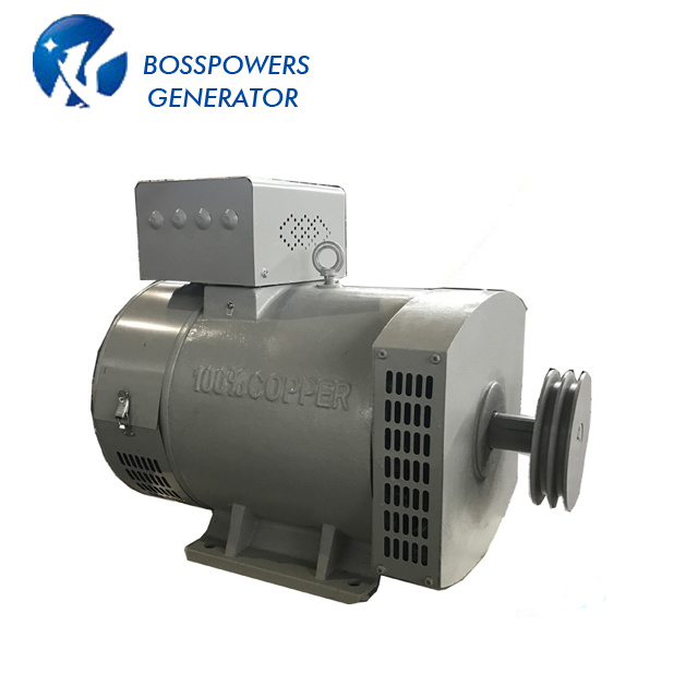 China Supplier Stc-10 Stc Brush Generator AC 10kw