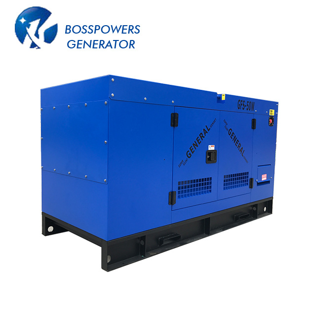Factory Price 45kVA 60Hz Ricardo Soundproof Silent Diesel Power Generator