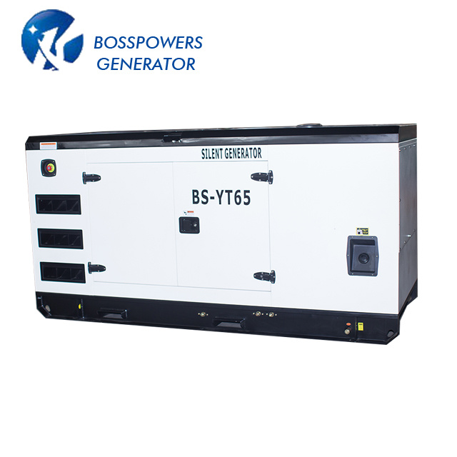 Electric Diesel Power Generator with Battery ATS Floating Charger