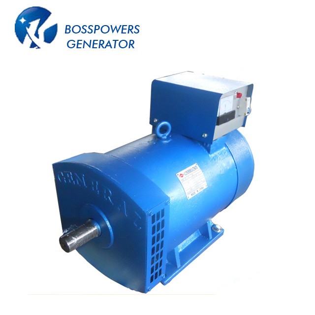 China Supplier Stc-10 Stc Brush Generator AC 10kw